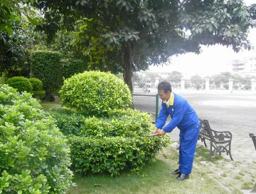 綠化養(yǎng)護(hù)如何提高管理水平？