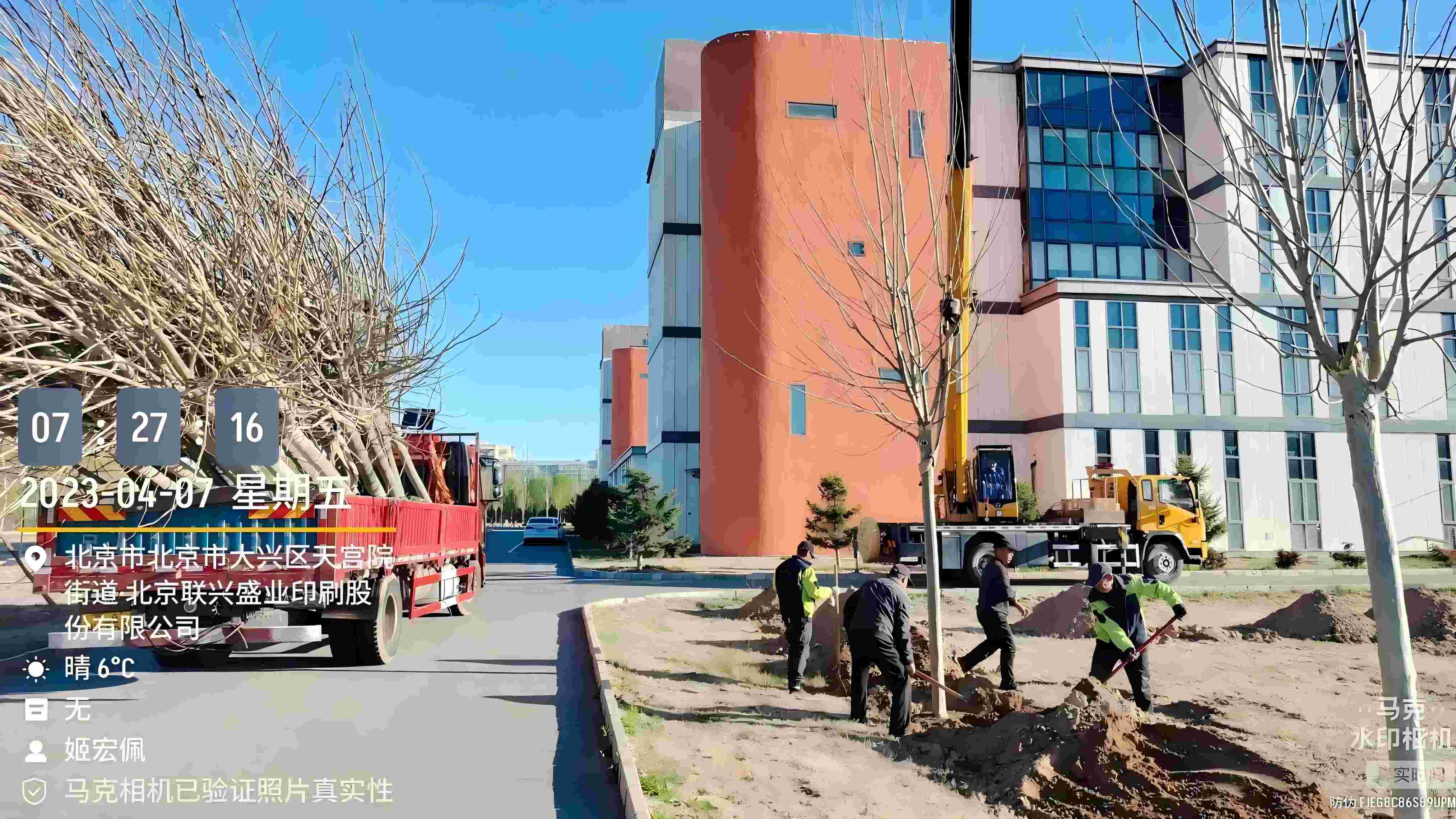 北京春季植樹最好的時(shí)間是什么時(shí)候？